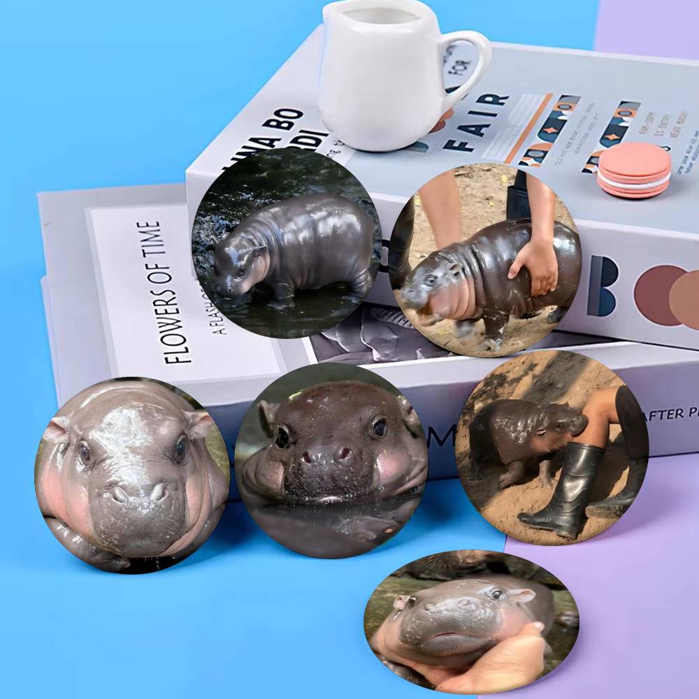Baby Hippo Moo Deng Badge Tinp - Baby Clothing Japan ulasan dan harga