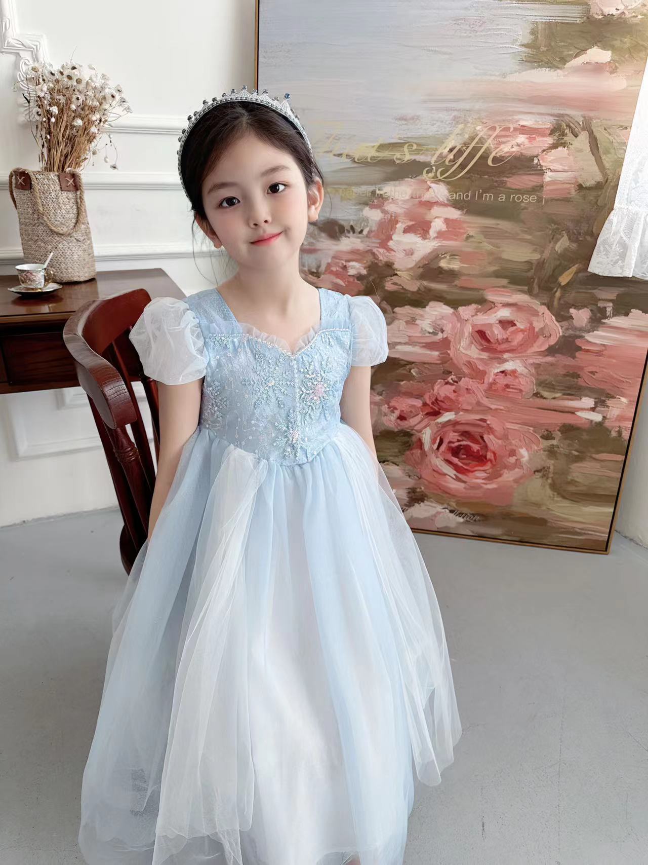 Embroidered Elsa Girls Dress f - Baby Clothing Gifts ulasan dan harga