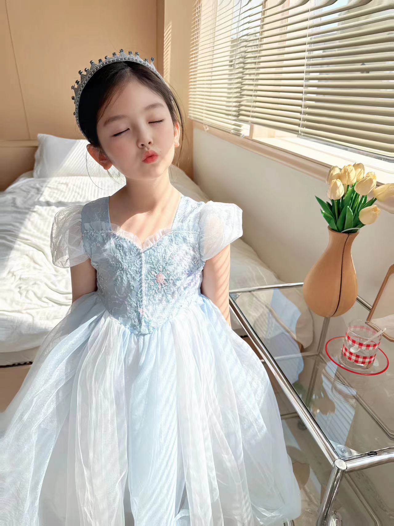 Embroidered Elsa Girls Dress f - Baby Clothing Gifts ulasan dan harga