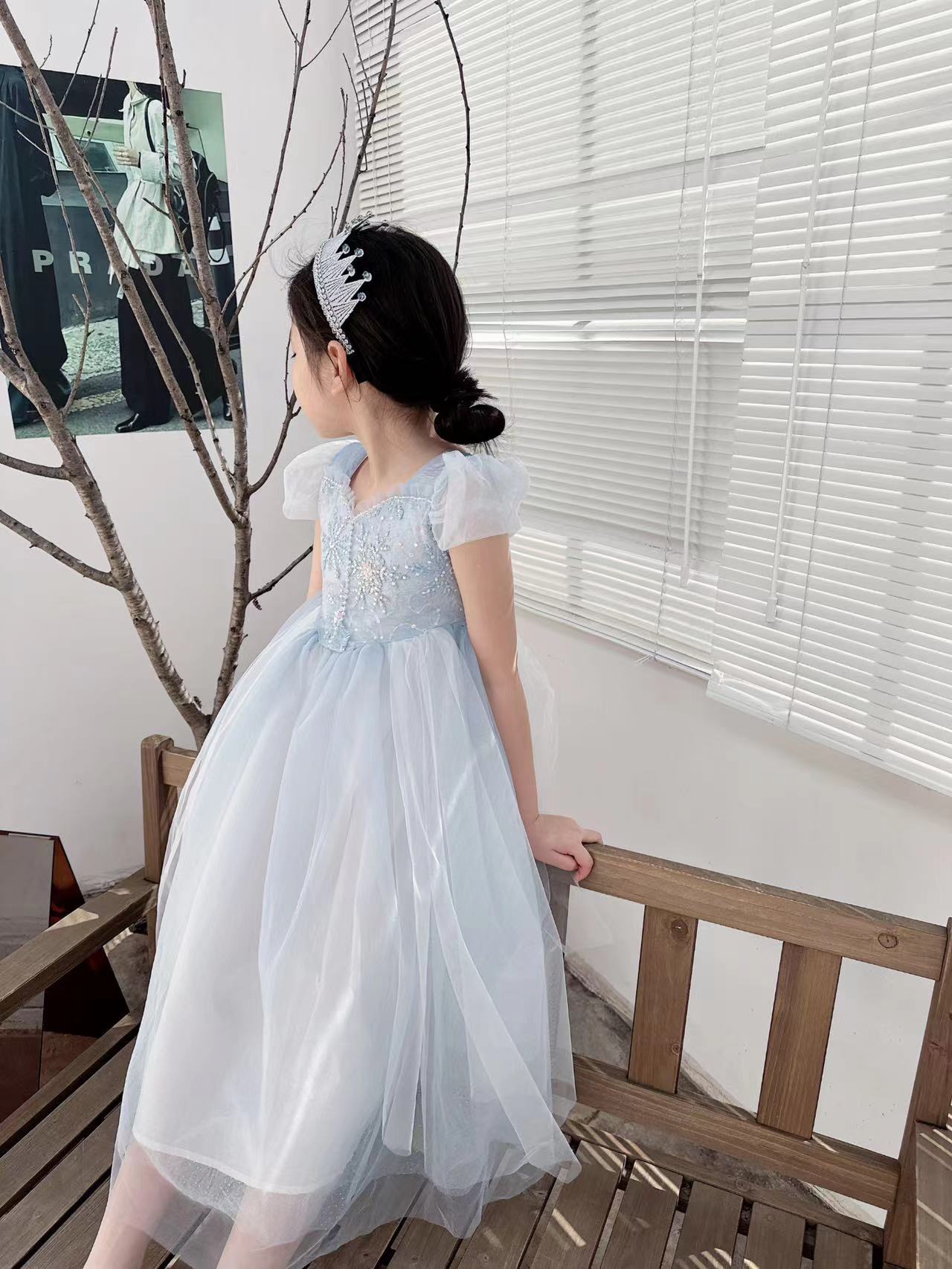 Embroidered Elsa Girls Dress f - Baby Clothing Gifts ulasan dan harga